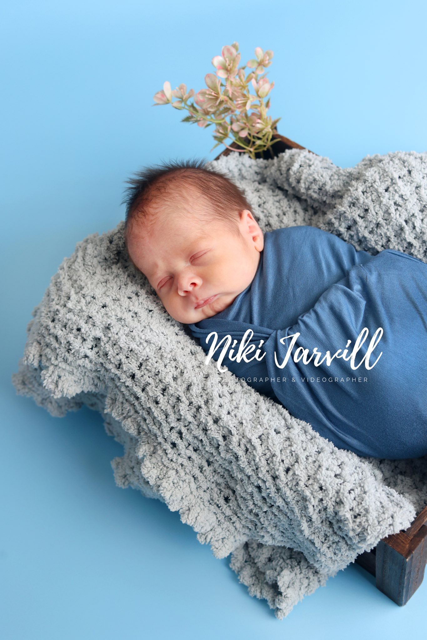 497703373_1768032510584412_8740415646397555114_n